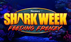 Everi Shark Week Feeding Frenzy slot machine at Akwesasne Mohawk Casino Resort
