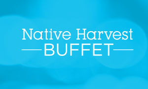 In remembrance of 9/11, we would like to recognize all First Responders and Ironworkers with a FREE lunch or dinner at Native Harvest Buffet.